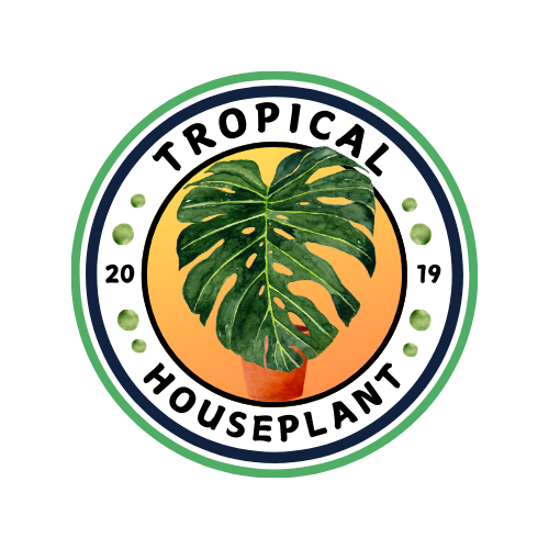 Tropical Houseplant